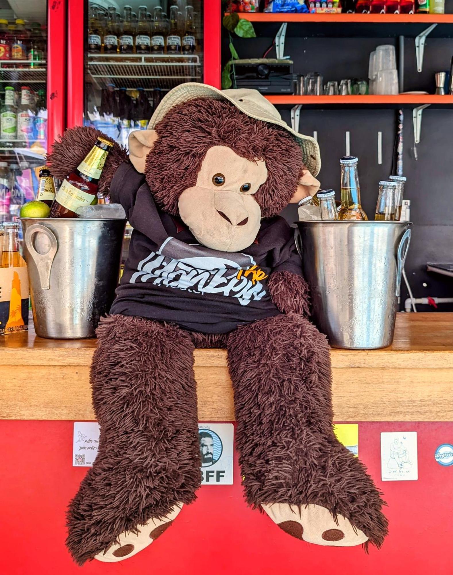 Hostel Trip Monkey San Gil Esterno foto